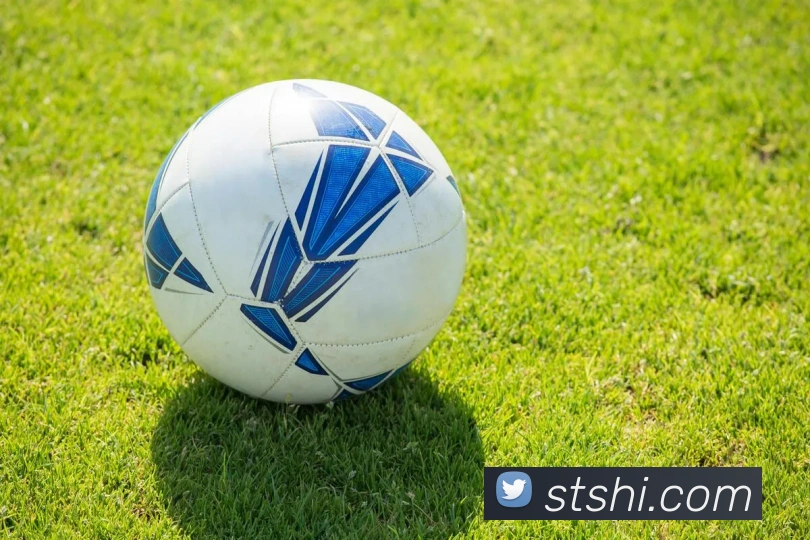 j9九游会平台生态图